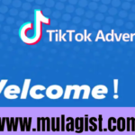 Tiktok-ng.cc Review: Legit or Scam? Find out