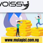 Voissy.com Review : is Voissy paying, legit or scam?