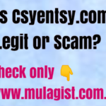 Csyentsy.com Review – Is Csyentsy Legit or Scam?