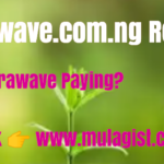 Nairawave.com.ng Review: Nairawave Login, Legit or Scam?