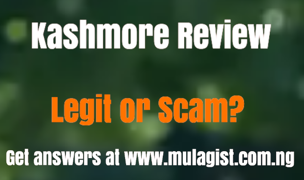 Kashmore Review Legit or Scam? Get answers