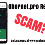 Ghornet.pro Review – Legit or Scam?
