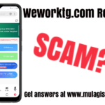 Weworktg.com Review – Legit or Scam?