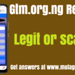Gtm.org.ng Review – How to login, Legit or Scam?