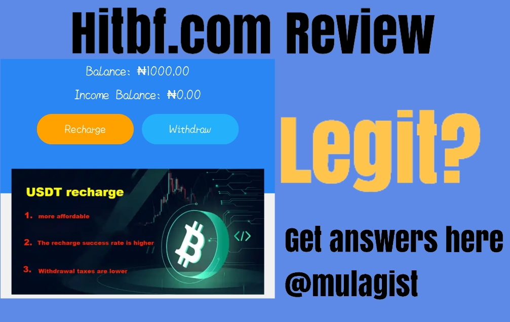 Hitbf.com Review – Legit or Scam? Get Answers!