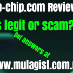 Pp-chip.com Review: Legit or Scam?