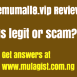 Temumall8.vip Review: Is Legit or Scam?