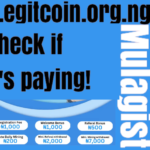 Legitcoin.org.ng Review – Is Legitcoin paying? Get Answers!