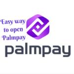 How to open Palmpay account in 2023
