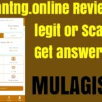 Quantng.online Review: Paying, legit or Scam? Get answers